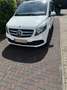Mercedes-Benz V 220 V 220 d RISE kompakt (447.811) Weiß - thumbnail 6