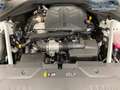 Genesis GV70 Luxury 4WD 2.2 CRDi Technik-Paket Panorama Fing... Білий - thumbnail 13