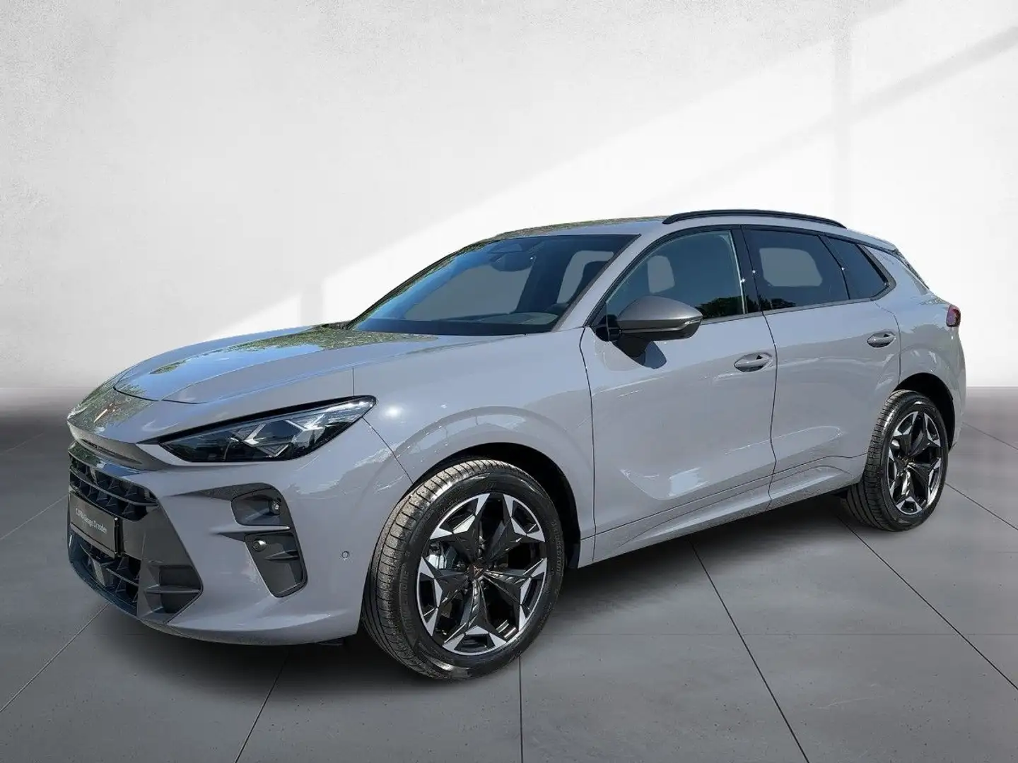 CUPRA Terramar 2.0 TSI 150 kW (204 PS) 7-Gang DSG 4Dri Gris - 2