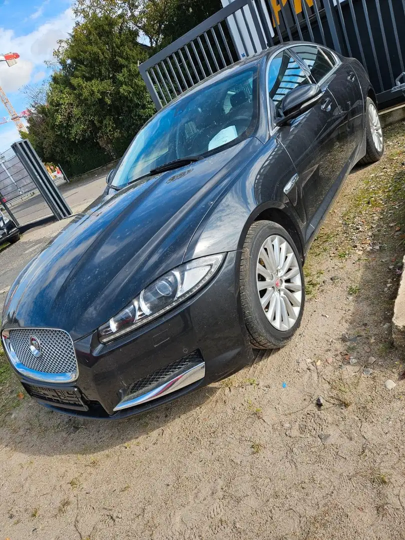 Jaguar XF 3.0 L V6 Diesel Gris - 1