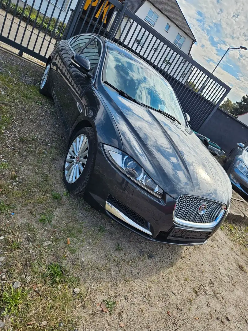 Jaguar XF 3.0 L V6 Diesel Gris - 2