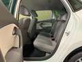 Volkswagen Polo 1.2 TSI First Edition * Trekhaak / LM Velgen / Cru Wit - thumbnail 23