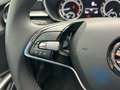 Skoda Fabia 1.0 TSi Style LED KAMERA ALU SHZ Blau - thumbnail 12