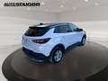 Opel Grandland 1.2 Turbo LED Navi SHZ 360 Kam. +PDC Weiß - thumbnail 7
