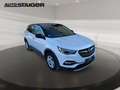 Opel Grandland 1.2 Turbo LED Navi SHZ 360 Kam. +PDC Weiß - thumbnail 5
