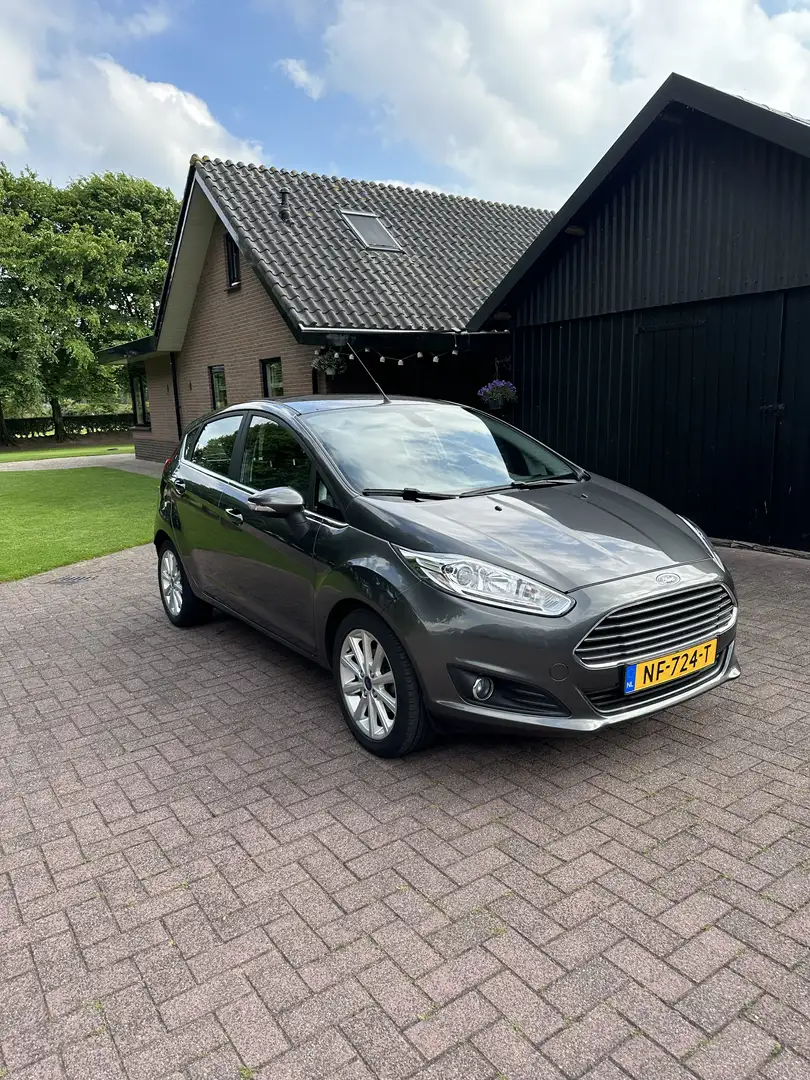 Ford Fiesta 1.0 EcoB. Titanium Grijs - 1