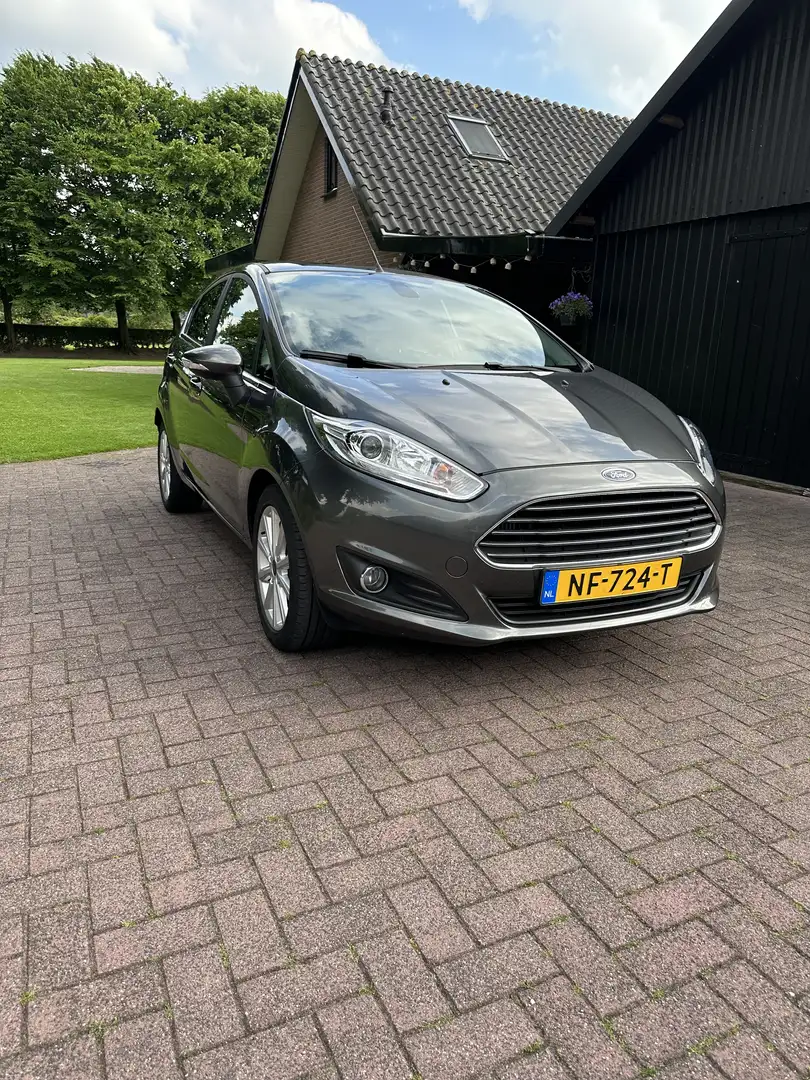 Ford Fiesta 1.0 EcoB. Titanium Grijs - 2
