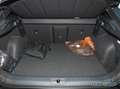 CUPRA Formentor VZ 1.5TSI Hybrid DSG DCC/Kamera/Alu-19 Blau - thumbnail 9