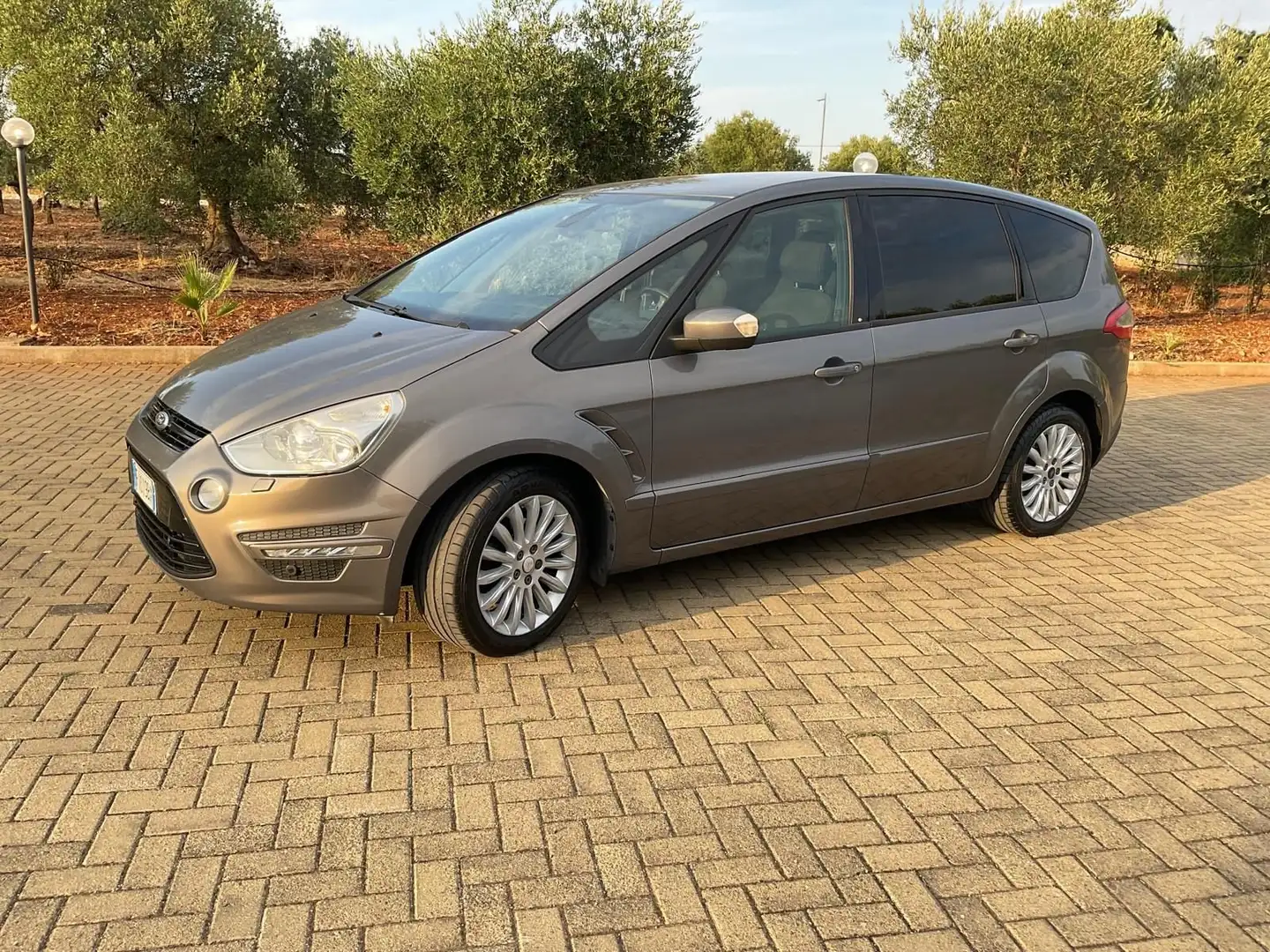 Ford S-Max 2014 2.0 tdci cambio automatico 7 posti 163cv Gris - 1