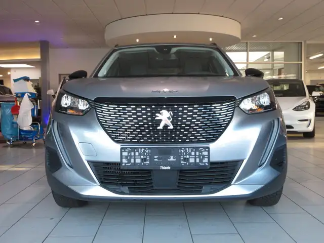 Peugeot 2008 view 2
