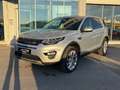 Land Rover Discovery Sport SE AWD Meridian Glasdach Kamera Grau - thumbnail 4