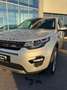 Land Rover Discovery Sport SE AWD Meridian Glasdach Kamera Grau - thumbnail 13