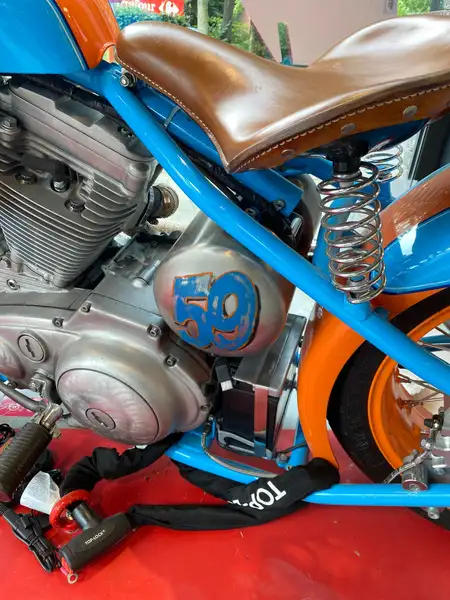 Harley-Davidson 1200 Custom - foto 7