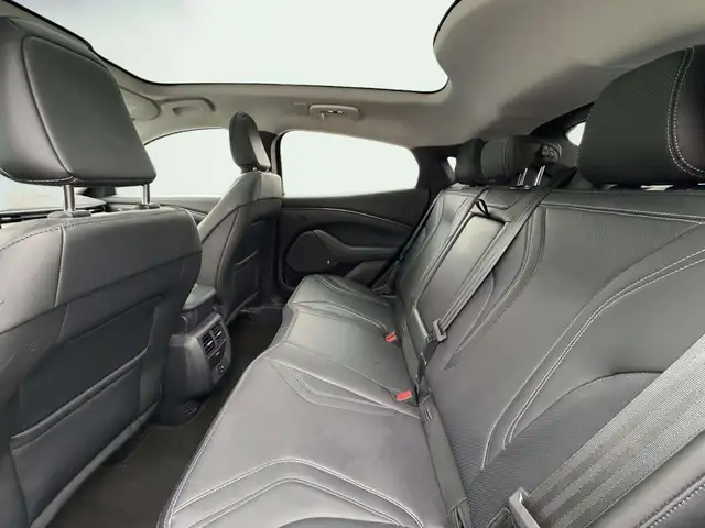 Ford Mustang Mach-E view 11