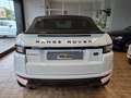 Land Rover Range Rover Evoque Cabrio 2.0 td4 HSE *TAGLIANDI CERTIFICATI Blanc - thumbnail 5