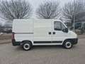 Citroen Jumper Kasten 29C 2.0 HDi/-HDi 85-AHK-TÜV NEU Weiß - thumbnail 4