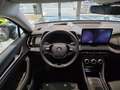 Skoda Kodiaq 1.5 TSI mHeV DSG Selection 7-Sitze Grau - thumbnail 7