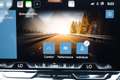 CUPRA Terramar 1.5 eTSI DSG LED Kamera Sitzheizung App-Navi Noir - thumbnail 29