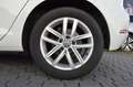 Volkswagen Golf 7 1.6 TDI AHK T-LEDER ACC SITZHZ MASSAGE Weiß - thumbnail 21