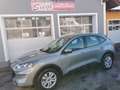 Ford Kuga 1,5 EcoBlue Cool & Connect Grau - thumbnail 1