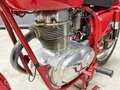 Moto Morini Italia SS Rood - thumbnail 10