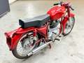 Moto Morini Italia SS Rood - thumbnail 5