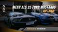 Ford Mustang MUSTANG 3.7 COUPÉ **NEUWAGEN ZUSTAND NUR 64TKM** Grijs - thumbnail 24