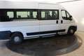 Fiat Ducato FIAT CNG L3h2 Airco 9 Persoons lift Camper Excl BT Blanc - thumbnail 4