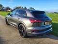 Audi e-tron 55 quattro S edition 95 kWh 79dkmNAP 21"camera tre Gris - thumbnail 2