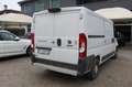 Fiat Ducato 30 2.3 MJT 130CV PM-TN Furgone Blanc - thumbnail 2