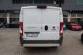 Fiat Ducato 30 2.3 MJT 130CV PM-TN Furgone Blanc - thumbnail 13