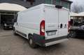 Fiat Ducato 30 2.3 MJT 130CV PM-TN Furgone Blanc - thumbnail 14