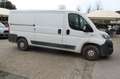 Fiat Ducato 30 2.3 MJT 130CV PM-TN Furgone Blanc - thumbnail 11