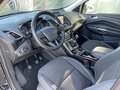 Ford Kuga Kuga 1.5 EcoBoost Titanium * AHK * Winterräder Zwart - thumbnail 9