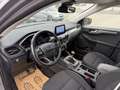 Ford Kuga 2,0 EcoBlue Hybrid Titanium Grau - thumbnail 11