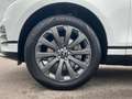 Land Rover Range Rover Velar P250 AWD R-DYNAMIC SE ACC Weiß - thumbnail 6