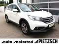 Honda CR-V Executive 2.0i-VTEC 4WD DAB+Leder RS SHZ Weiß - thumbnail 1