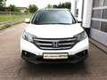 Honda CR-V Executive 2.0i-VTEC 4WD DAB+Leder RS SHZ Weiß - thumbnail 3