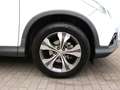 Honda CR-V Executive 2.0i-VTEC 4WD DAB+Leder RS SHZ Weiß - thumbnail 5