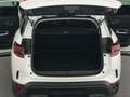Citroen C5 Aircross 1.2PureTech Aut.Feel Pack S&S+LED Bianco - thumbnail 13