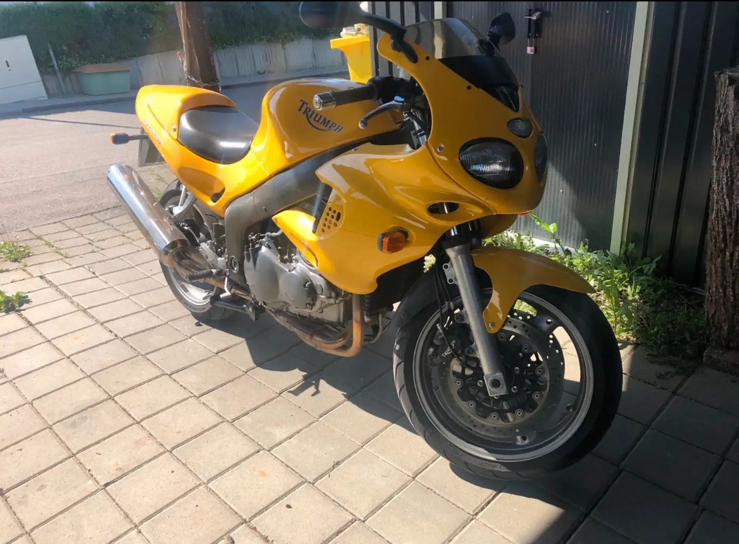 Triumph Sprint RS 955 - 2