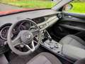 Alfa Romeo Stelvio 2.2 Turbodiesel 190 CV AT8 Q4 Business Rosso - thumbnail 13