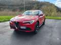 Alfa Romeo Stelvio 2.2 Turbodiesel 190 CV AT8 Q4 Business Rosso - thumbnail 3