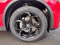 Alfa Romeo Stelvio 2.2 Turbodiesel 190 CV AT8 Q4 Business Rosso - thumbnail 9