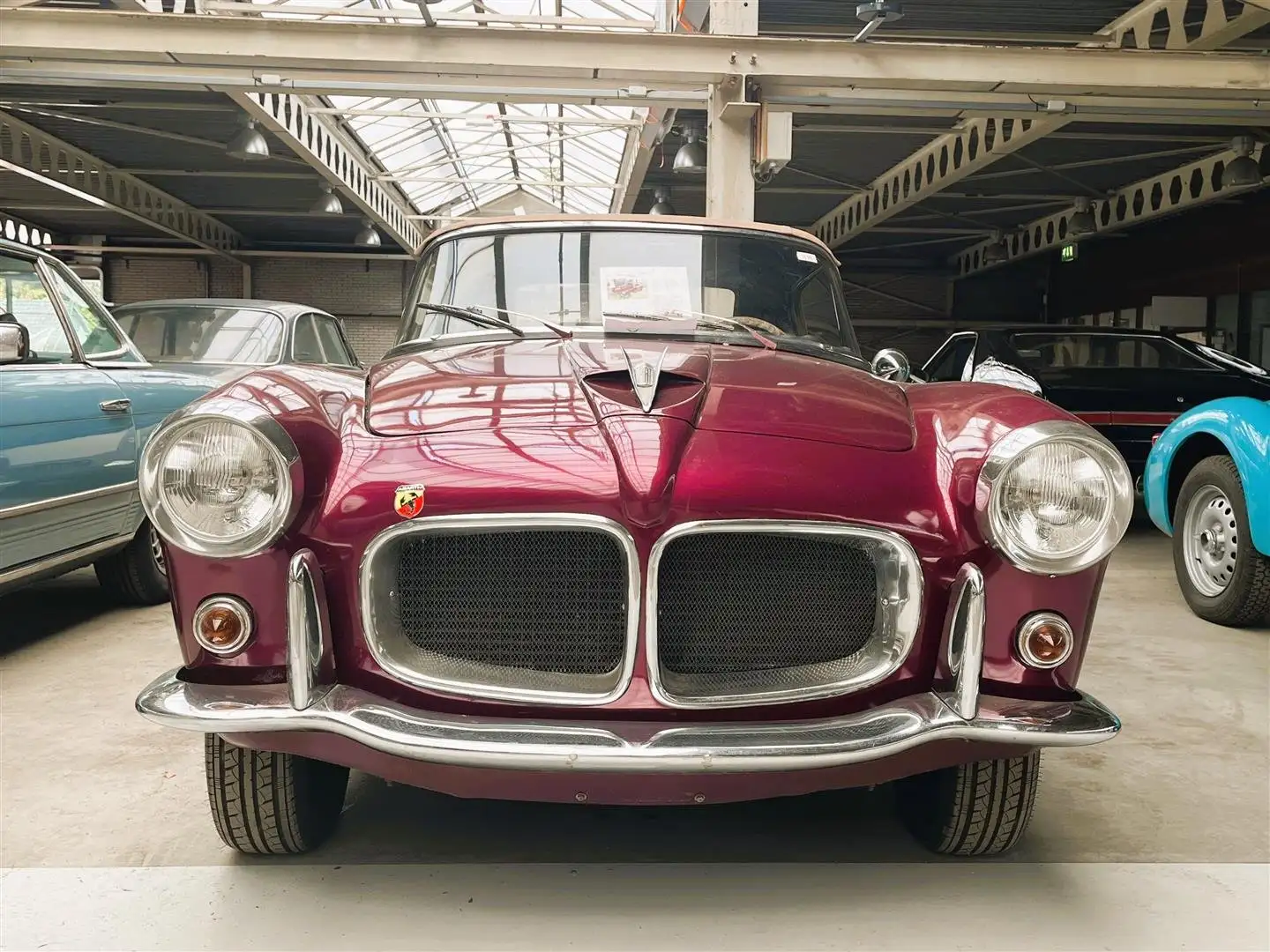 Oldtimer Fiat 1100TV Spider Violet - 1