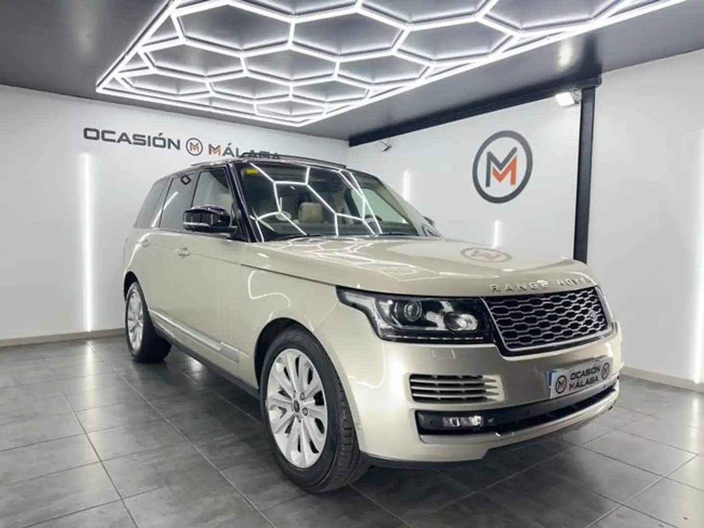 Land Rover Range Rover 4.4SDV8 Vogue Aut. Beige - 2