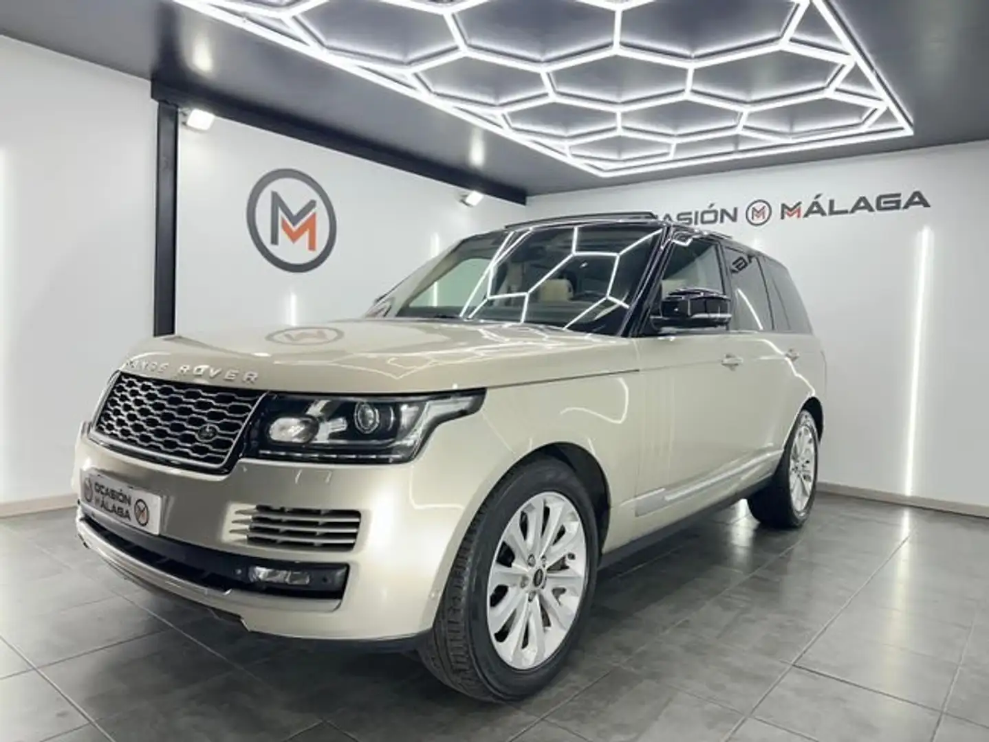 Land Rover Range Rover 4.4SDV8 Vogue Aut. Beige - 1