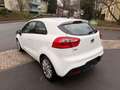 Kia Rio Dream Team  Klima,Alu.Tüv Blanc - thumbnail 6
