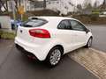Kia Rio Dream Team  Klima,Alu.Tüv Blanc - thumbnail 5