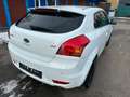 Kia Ceed / cee'd 1.6 CRDI*Klima*6Gang*PDC*Euro5* Weiß - thumbnail 5
